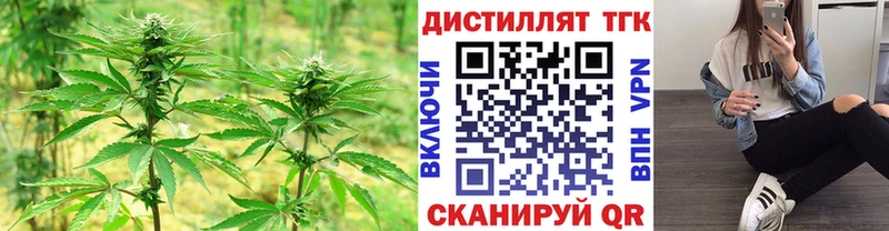 Купить  Сегежа  ТГК вейп с тгк 