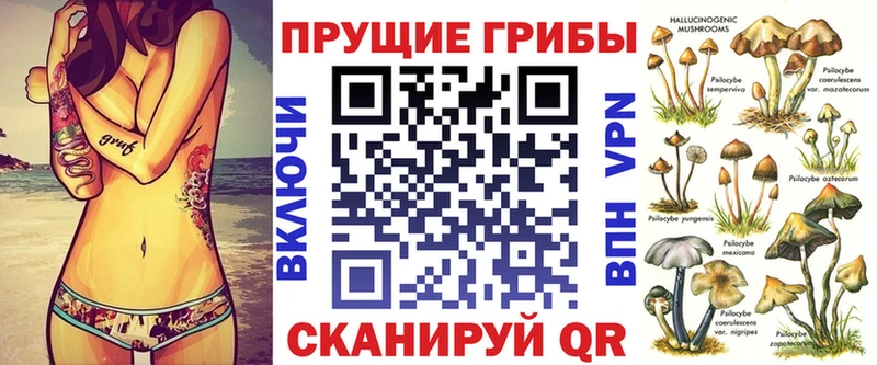 Псилоцибиновые грибы Cubensis  Купить  Сегежа 